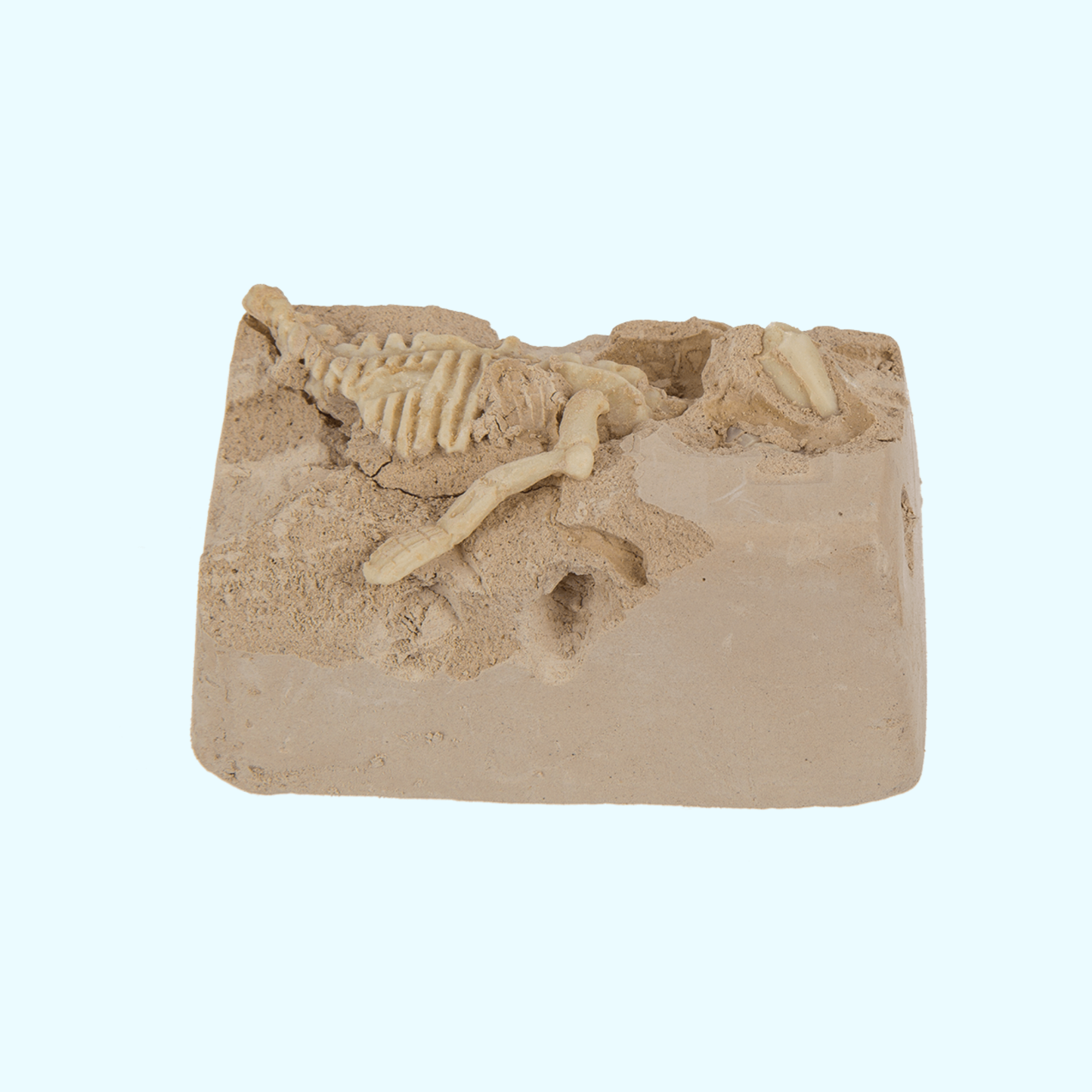Ausgrabungsset Dinosaurier-Skelett kaufen | KroStore