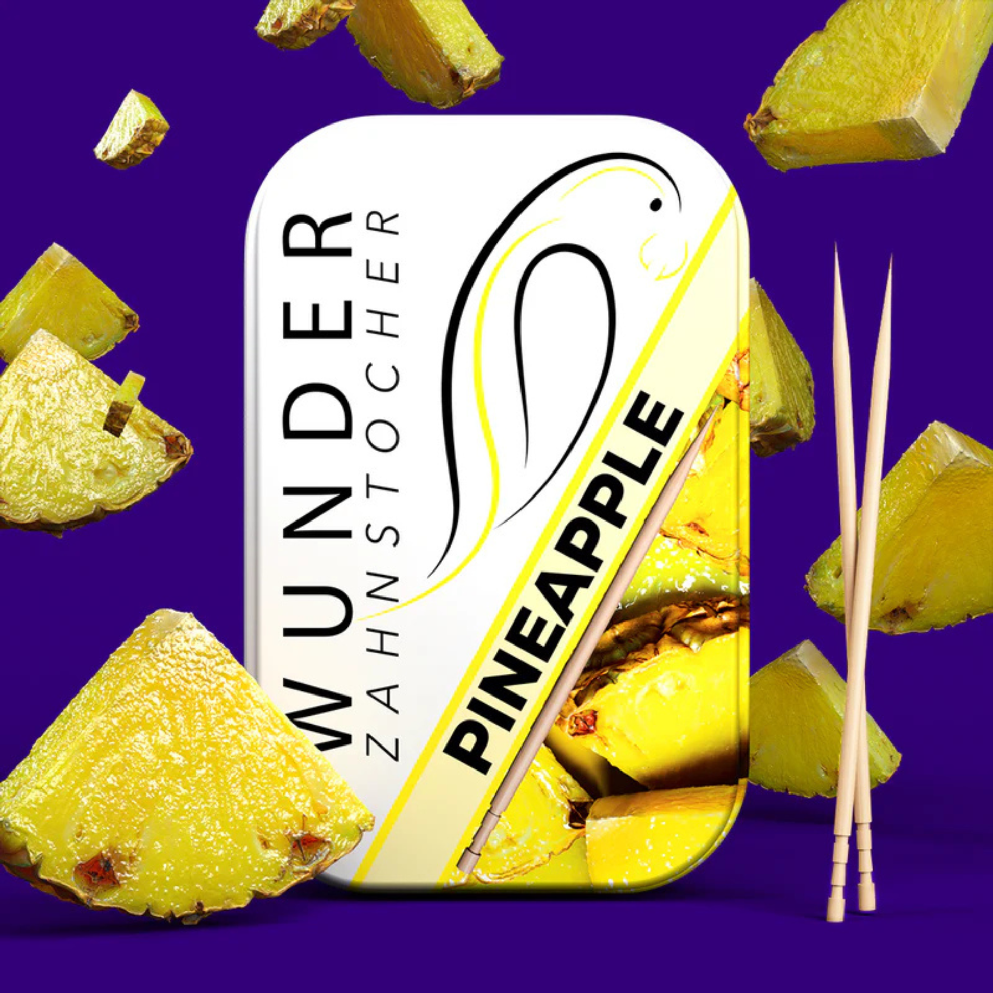 Wunder Zahnstocher Ananas Metalldose 100Stk. - KROSTORE.AT
